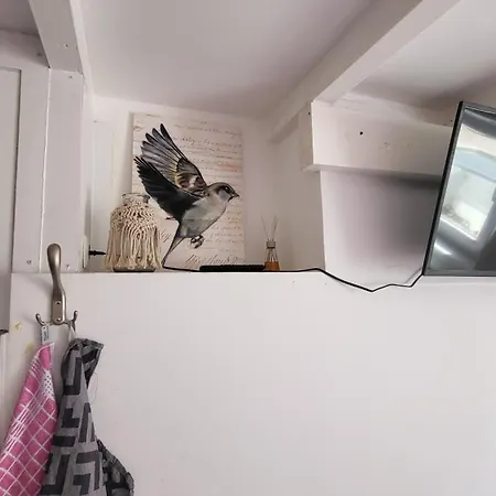 Souterrain Bed & Breakfast Amsterdam