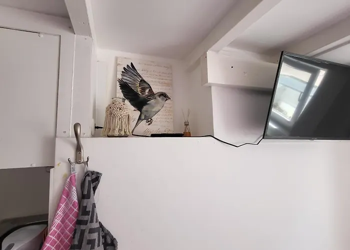 Souterrain Gasthuis Amsterdam